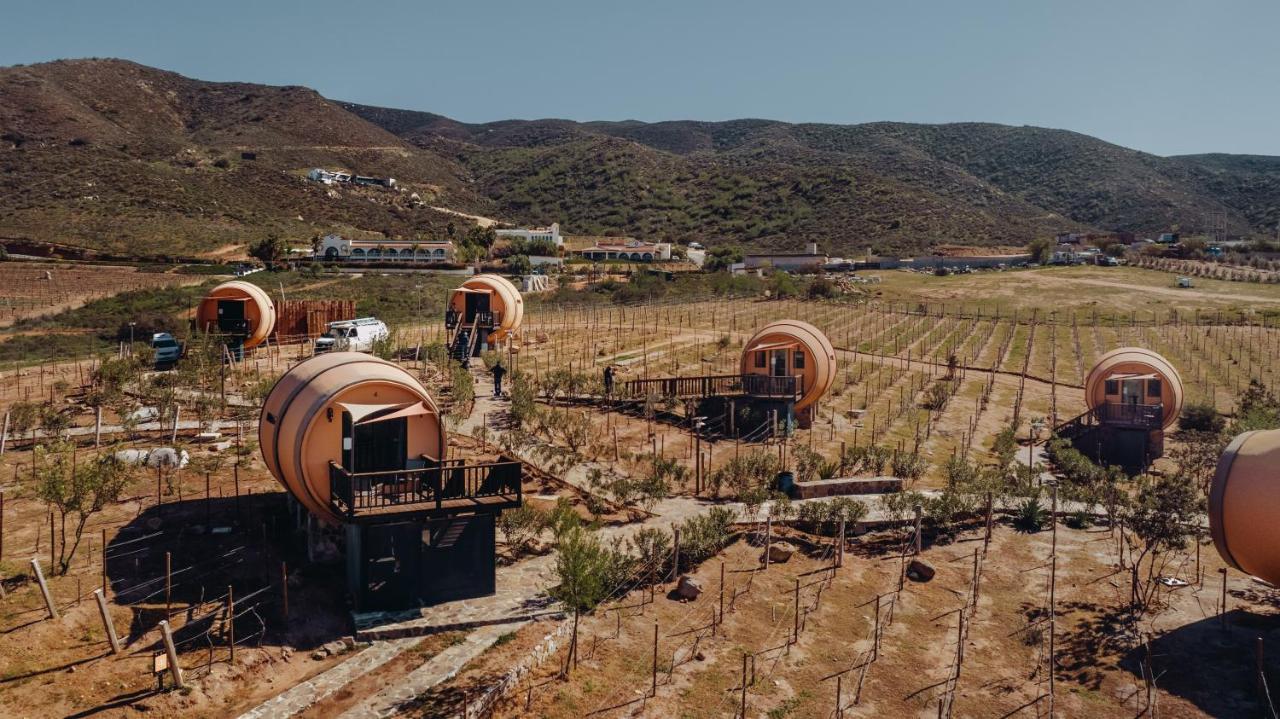 Finca El Mirador Valle de Guadalupe Exterior foto