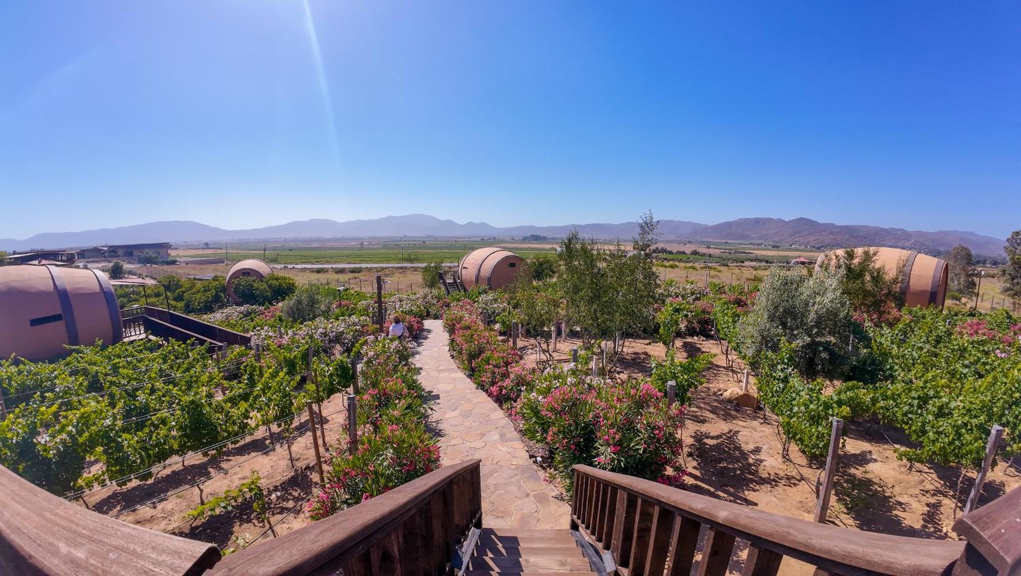 Finca El Mirador Valle de Guadalupe Exterior foto